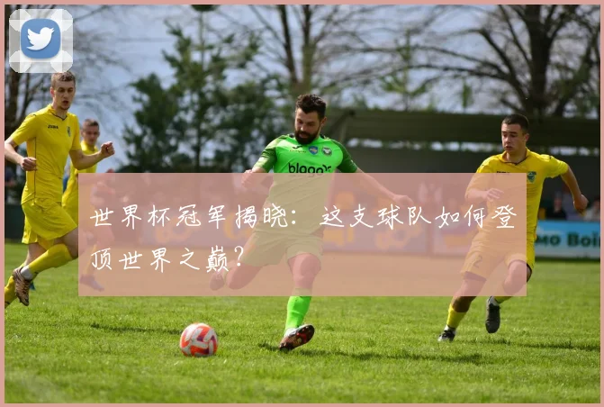 世界杯冠军揭晓:这支球队如何登顶世界之巅?