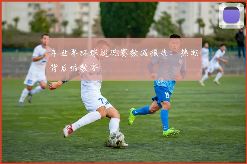 年世界杯球迷观赛数据报告：热潮背后的数字